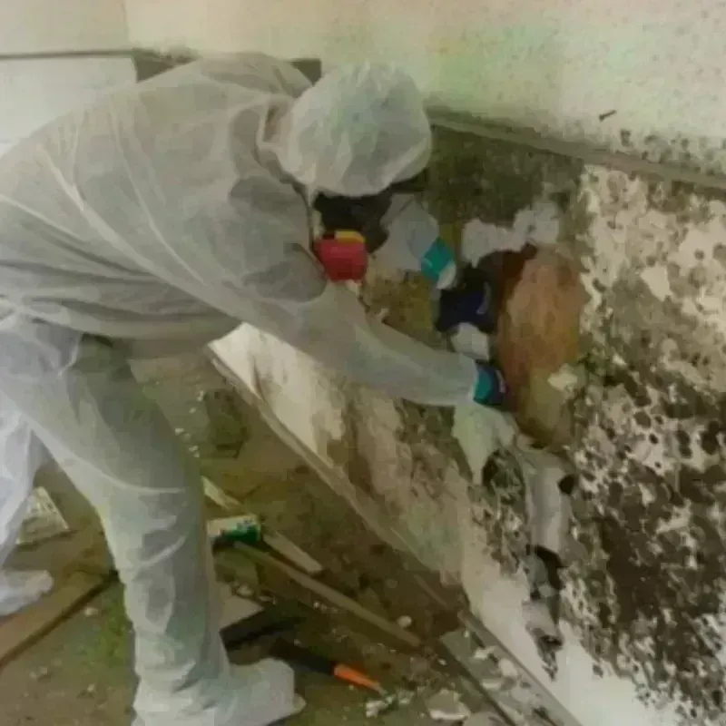 Mold Remediation and Removal in Gosper County, NE